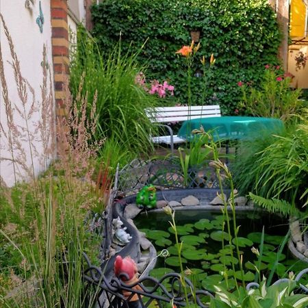 Spreewald Ferienwohnung Wollgast Lübben Buitenkant foto