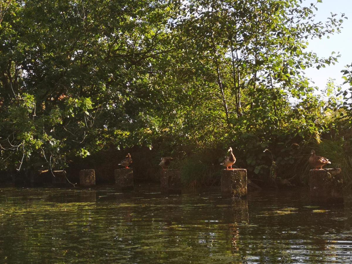 Spreewald Ferienwohnung Wollgast Lübben Buitenkant foto