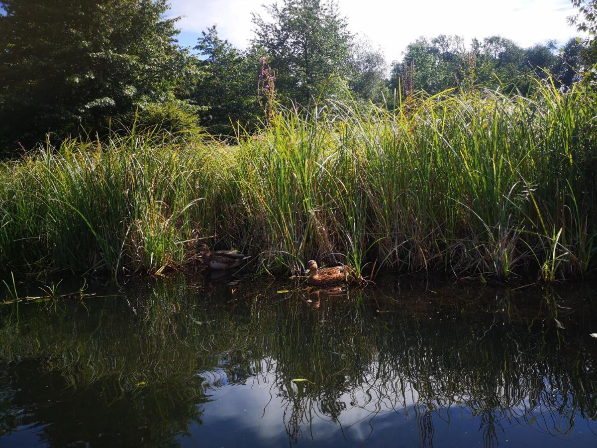 Spreewald Ferienwohnung Wollgast Lübben Buitenkant foto