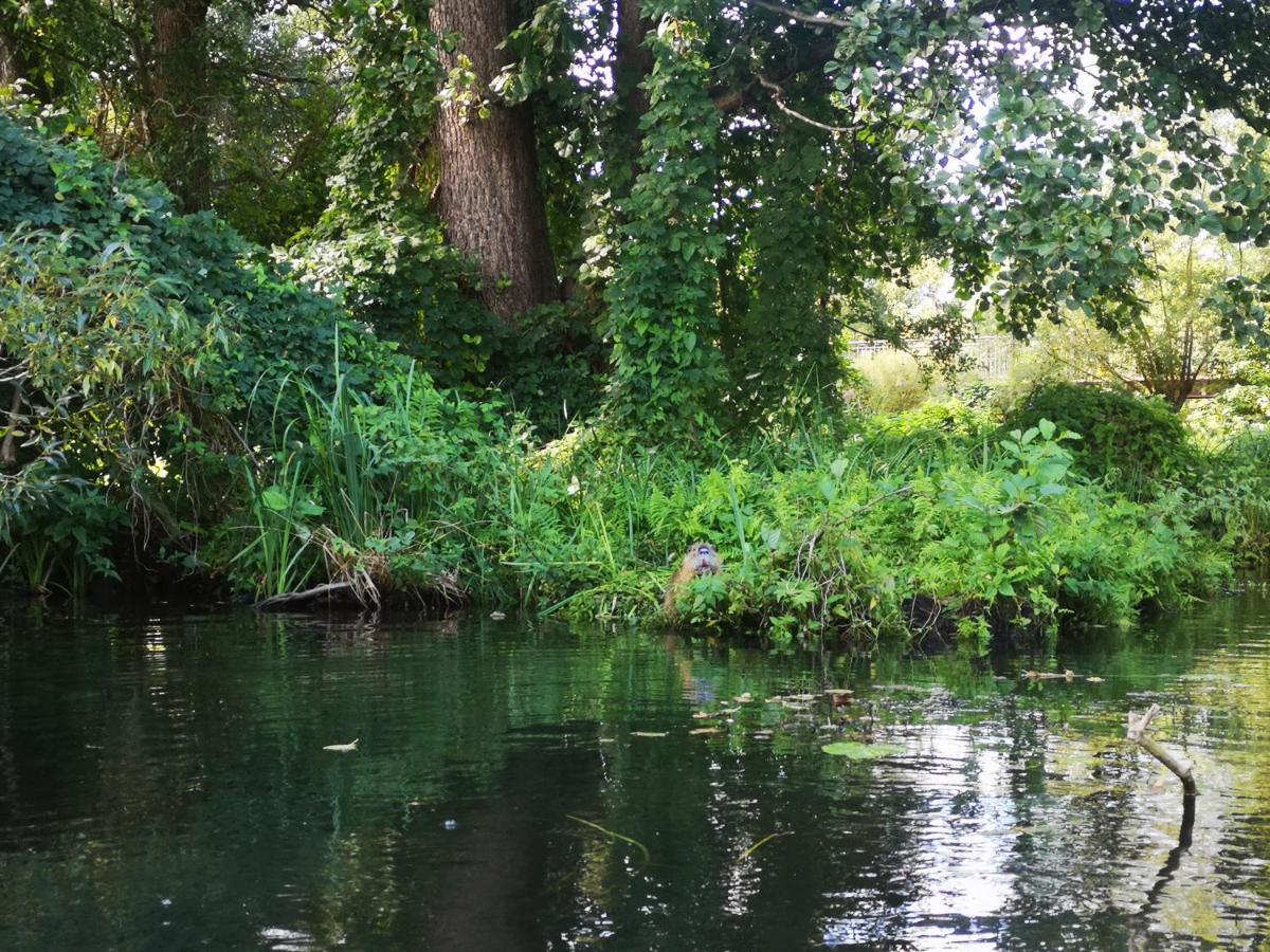 Spreewald Ferienwohnung Wollgast Lübben Buitenkant foto