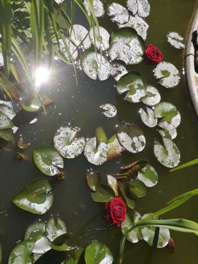 Spreewald Ferienwohnung Wollgast Lübben Buitenkant foto