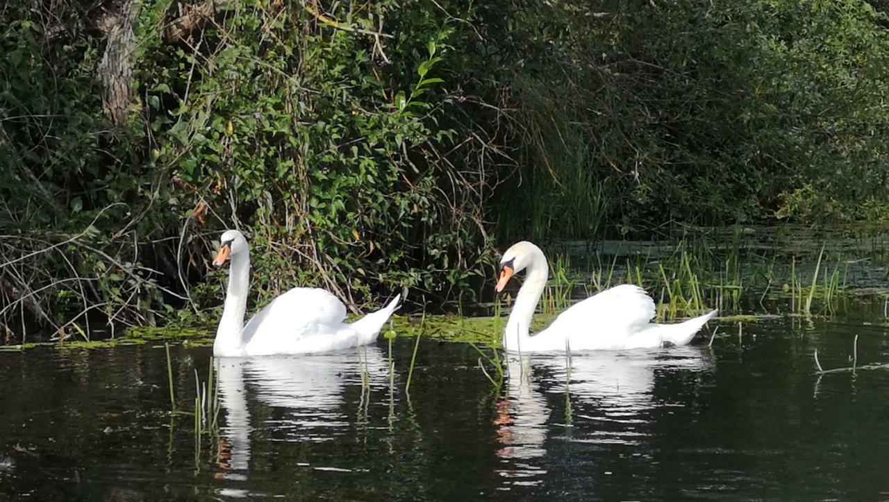 Spreewald Ferienwohnung Wollgast Lübben Buitenkant foto